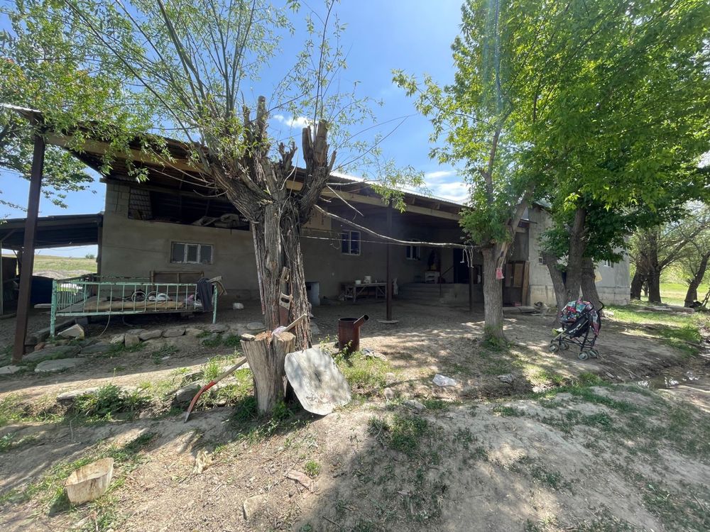 Продается фазенда в предгорьях Акыртобе 238 гектар