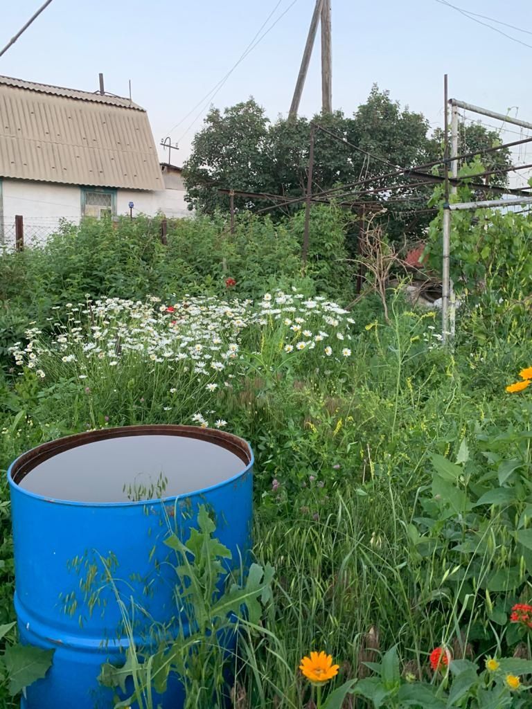 Продам или сдам дачу 12 сот можно по 6