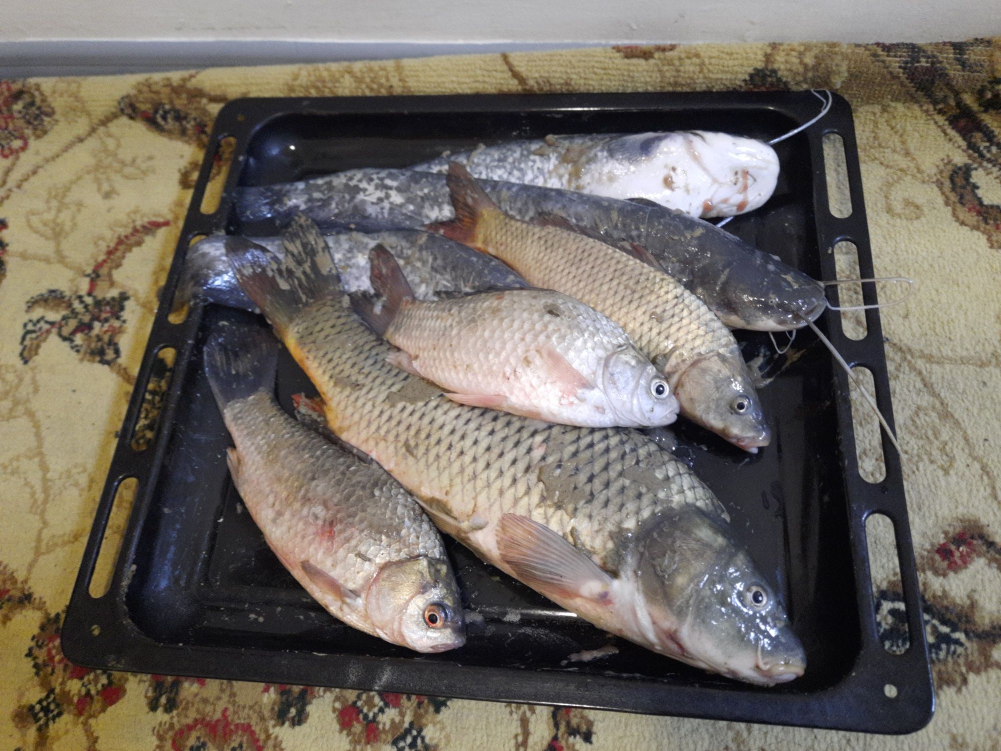 Балык fish рыба шт 100,200