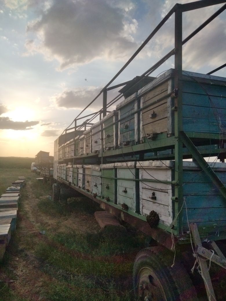 Продам 2 павильон