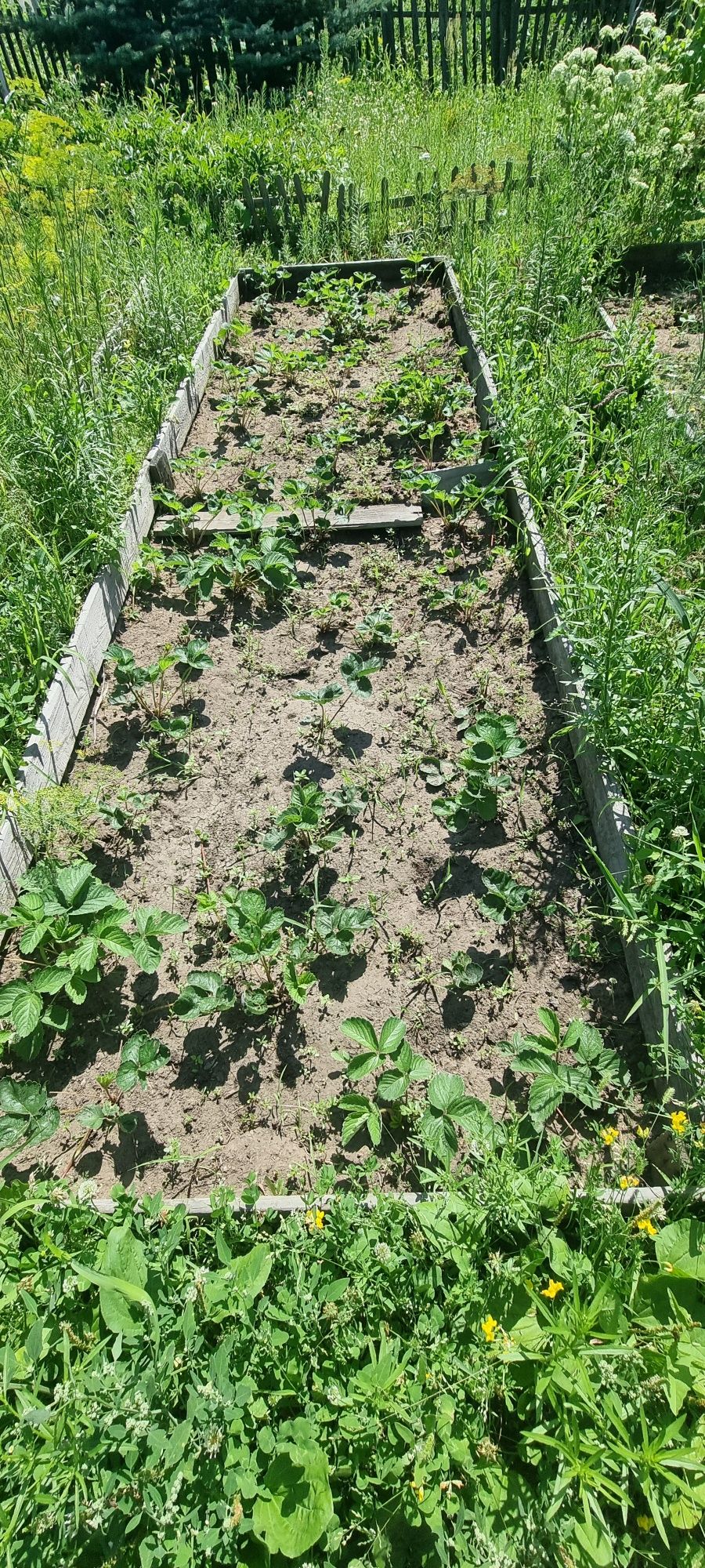 Продам дачу .Сад Здоровье.