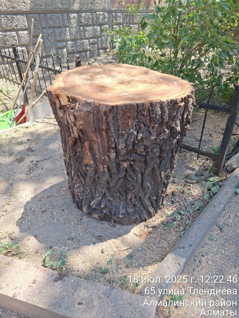 Чурбак под рубку мяса.