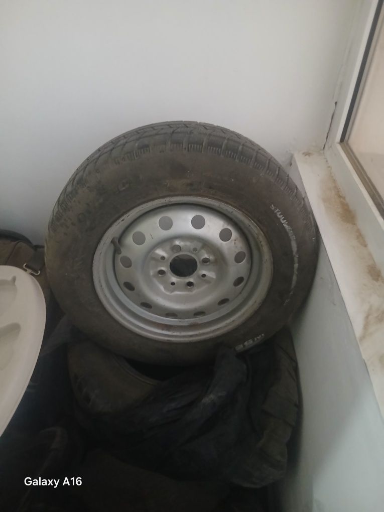 Щиныи 13 жагдай жаксы