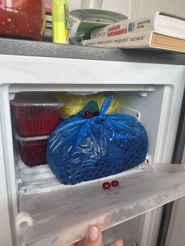 Морозильник хайсенс 60л
