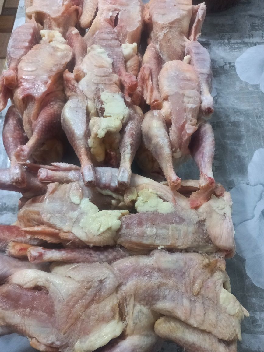Куры бульенные мясо(домашние)