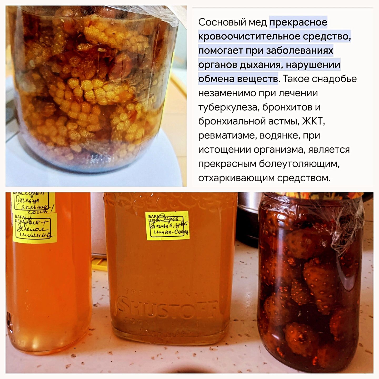 СИРОПЫ домашние иммунные и очень полезные