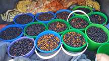 Продам смородина черная и ассорти