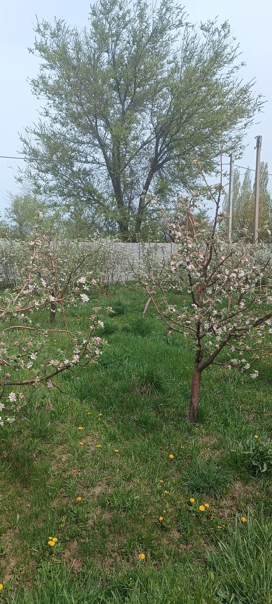 Продам 2 участка по 8 соток.  Цена 6,5 млн.тг за каждый