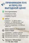 Принимаем пух и перо по выгодной цене!