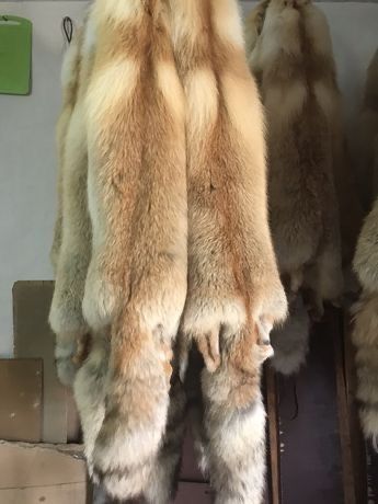 Лиса мех натуральный тулки