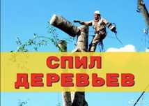 Профессиональный спил деревьев