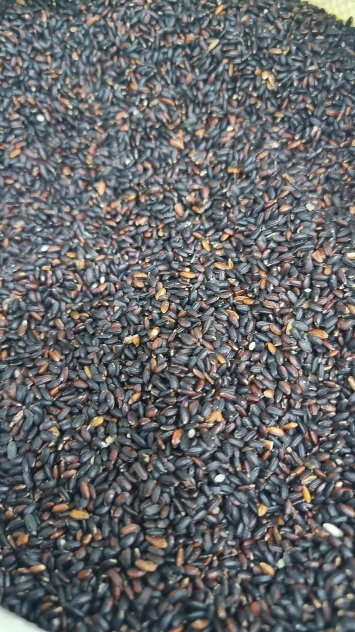 Красный рис,черный рис,буры рис