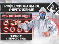 Дезинфекция, дезинсекция, дератизация