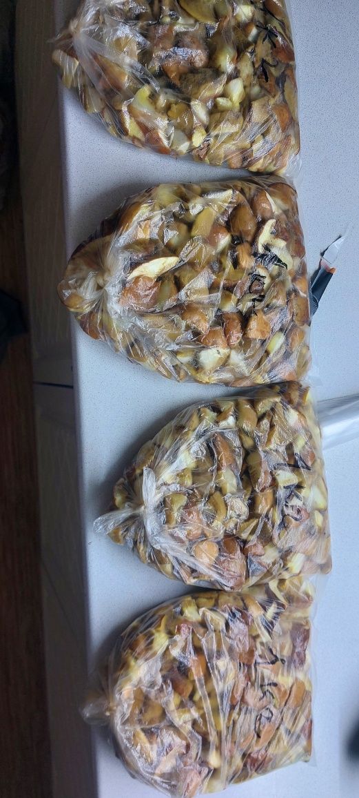 Продам маслята свежие