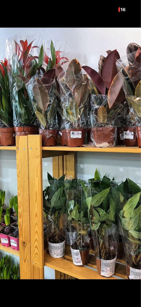 Продам действующий бизнес