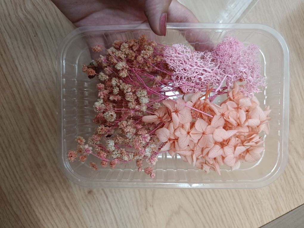 Сухоцветы для свечей