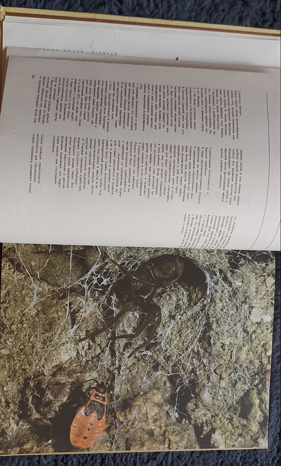 Книга 1986 г.в Животные строят