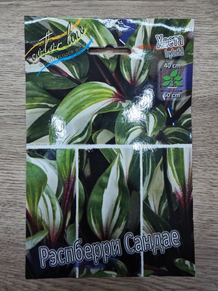 Хосты, многолетники различные -2000