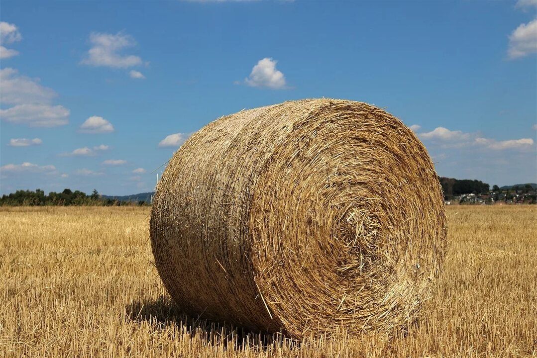 Продам Солому Пшеничную
