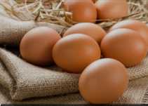 Продам инкубационные яица кур породы Белиферд немец