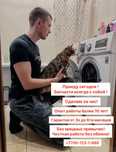 Ремонт стиральных машин качество опыт гарантия