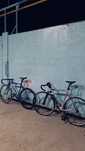 Велосипед фикс, Tsunami Fixed gear