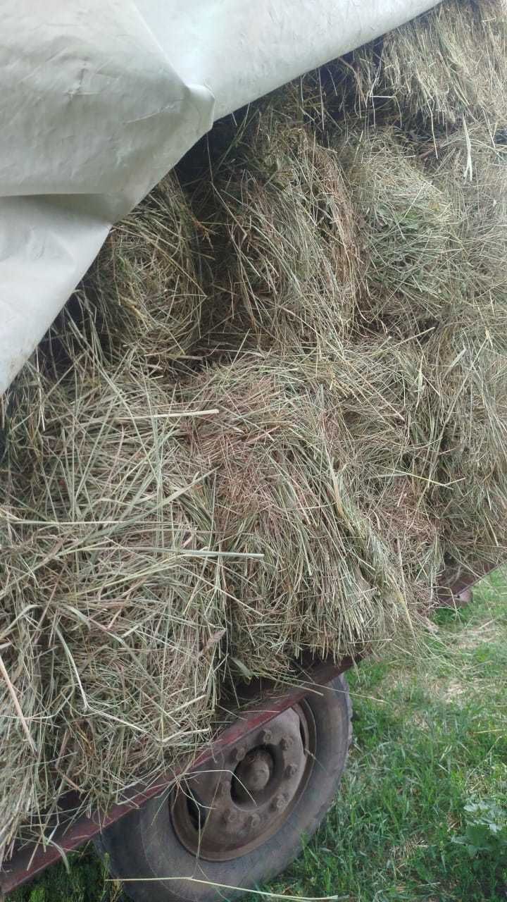 Продам сено в тюках