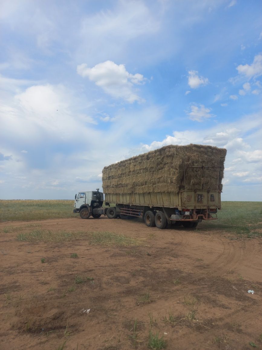 Житняк разнотравье на выбор