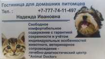 Гостиница для собак и кошек!
