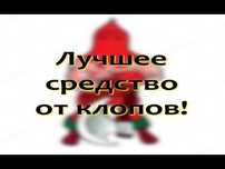 средства от клопов "Антиклоп"
