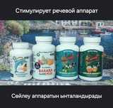 Комплекс Стимулирует речевой аппарат детям внимания память учеба