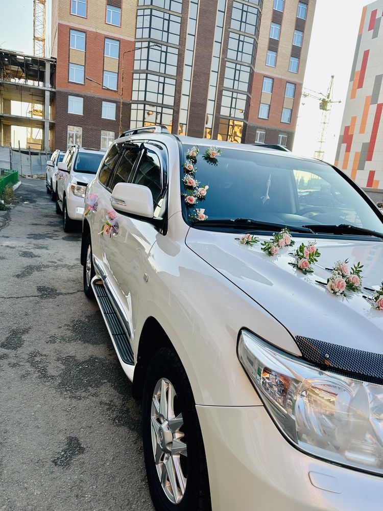 Аренда авто, прокат автомобилей