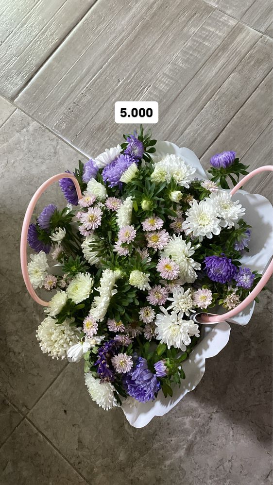 Продам срочно цветы