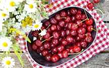 Продам домашнюю вишню