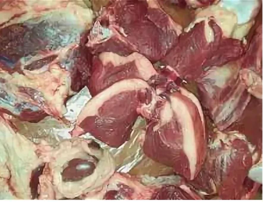 Жирный согым, конина, сирак, аяк, жарт ет