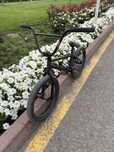 Dk 21 bmx ALULA WISE