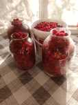Продам малину крупную,дачную