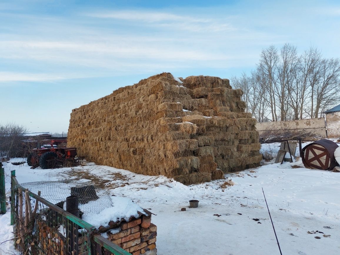 Продам сено в тюках