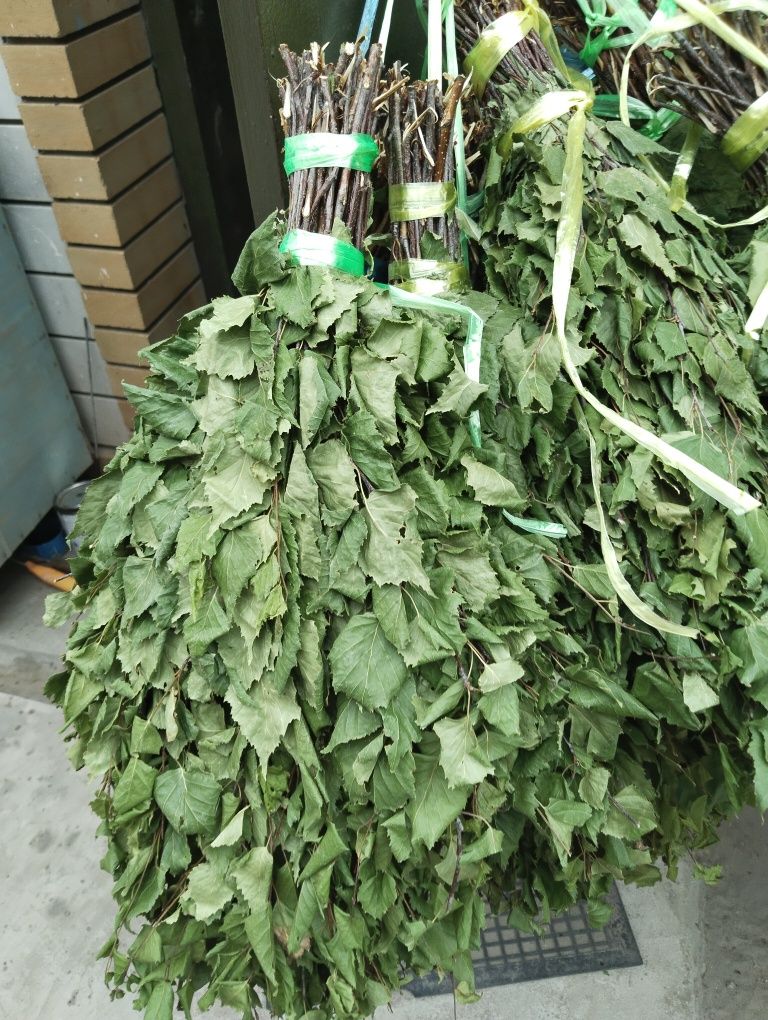 Продам веник березовый,керосиновую лампу. Колба.