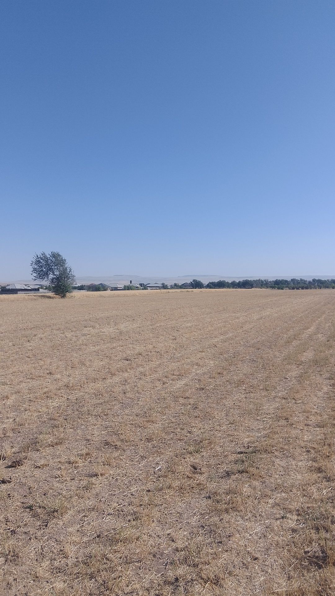 Продается земля 40 соток в село карабулаке