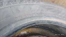 шина 275/55r17 покрыжка