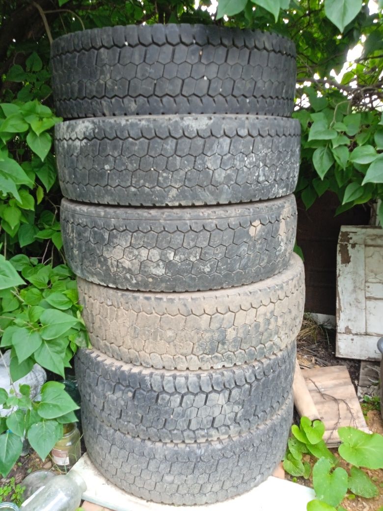 Продам автошины на Евро Пазик