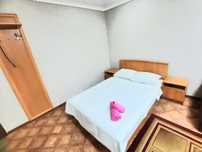 Сдам 1 квартиру посуточно улица Ш. Уалиханова 162