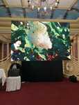 Аренда Led, Лед экран аренда