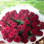 101 роза гүл ұзын өтте әдемі