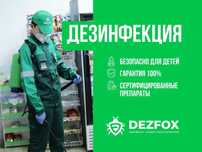 Дезинфекция Помещений Кафе Ресторан Дом От Мышей Крыс Тараз