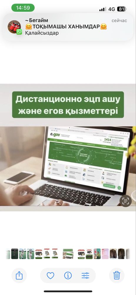 Арест шешу Сот/ Ускоренний график алу