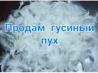 Продам пух гусиный.