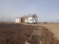 Арыс көксарай жанында 150 гектар жер