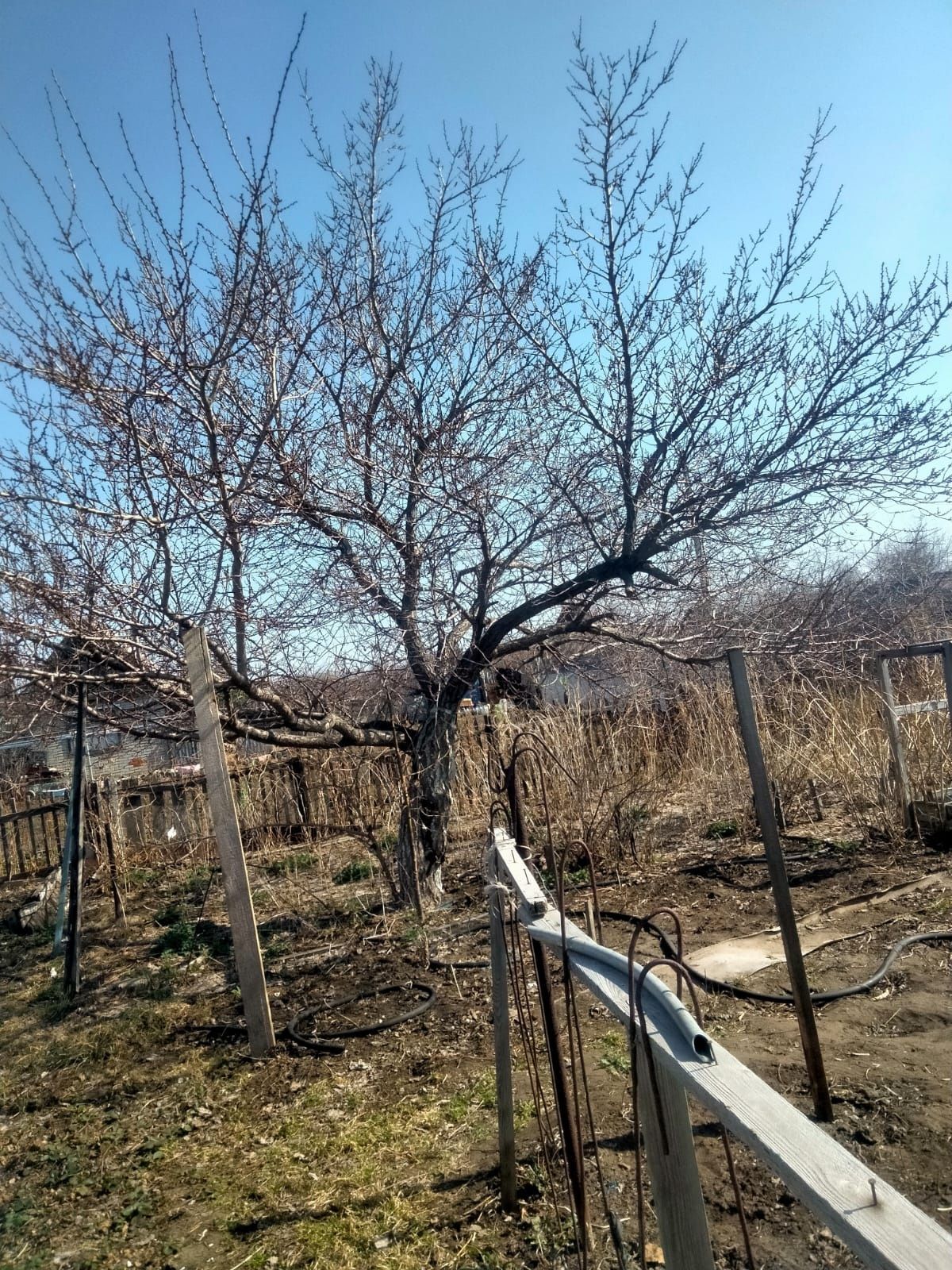 Продам дачу Текстильщик-2